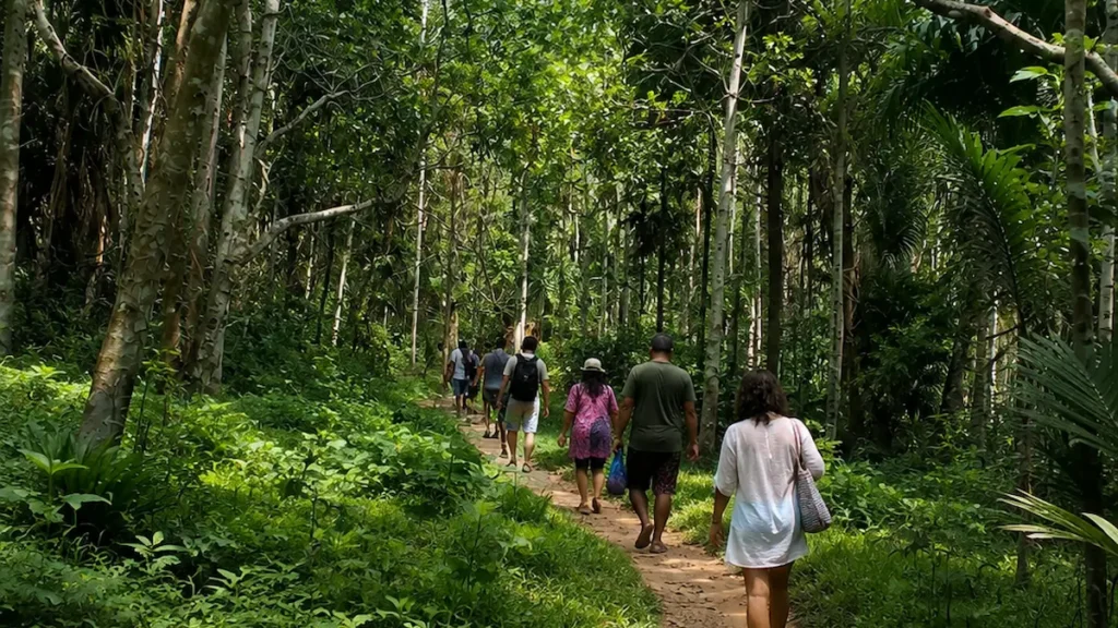 Elephanta Beach Trek Route through Tropical Forest, Havelock Island Tourists walking along the forest trekking trail leading to Elephanta Beach on Swaraj Dweep (Havelock Island), Andaman Islands.