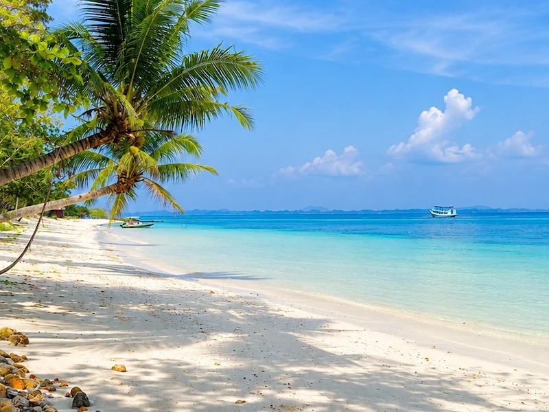 Scenic view of Bharatpur Beach with white sand, coconut trees and calm turquoise sea in Neil Island