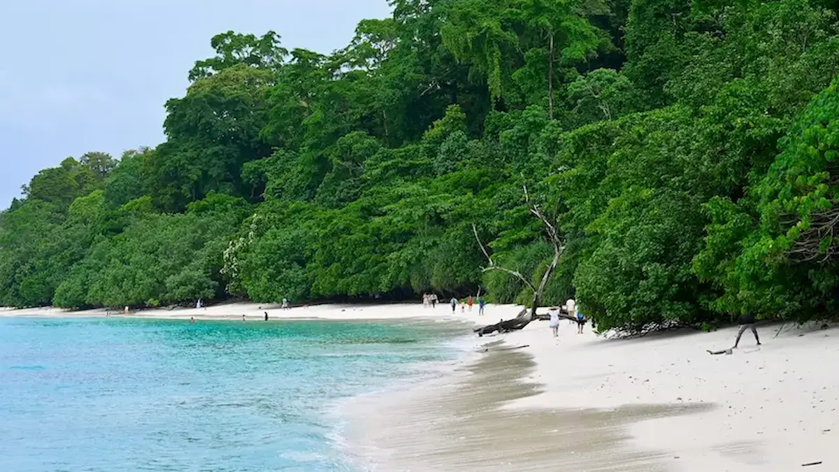 Kalapathar Beach with crystal-clear turquoise water, white sandy shore, and lush tropical forest in Havelock Island, Andaman and Nicobar Islands