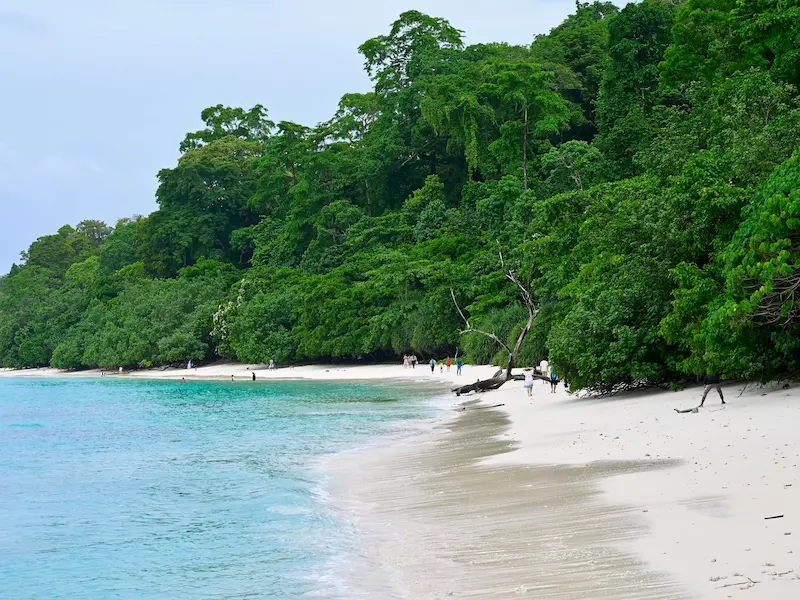 Kalapathar Beach with crystal-clear turquoise water, white sandy shore, and lush tropical forest in Havelock Island, Andaman and Nicobar Islands