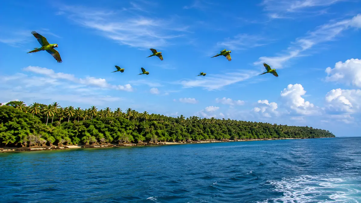 Baratang Island: The Hidden Adventure Most Travellers Miss Parrot Island Baratang with a flock of parrots flying over a tropical island in the Andaman Islands.