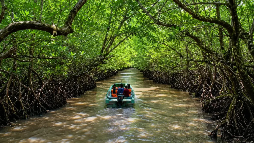 Baratang Island: The Hidden Adventure Most Travellers Miss Tourists enjoying a boat ride through the mangrove creek at Baratang Island in the Andaman and Nicobar Islands