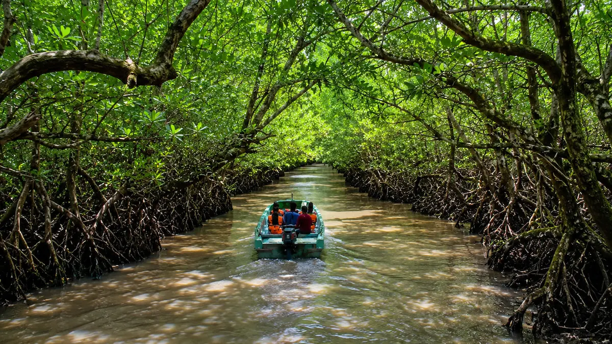 Tourists enjoying a boat ride through the mangrove creek at Baratang Island in the Andaman and Nicobar Islands