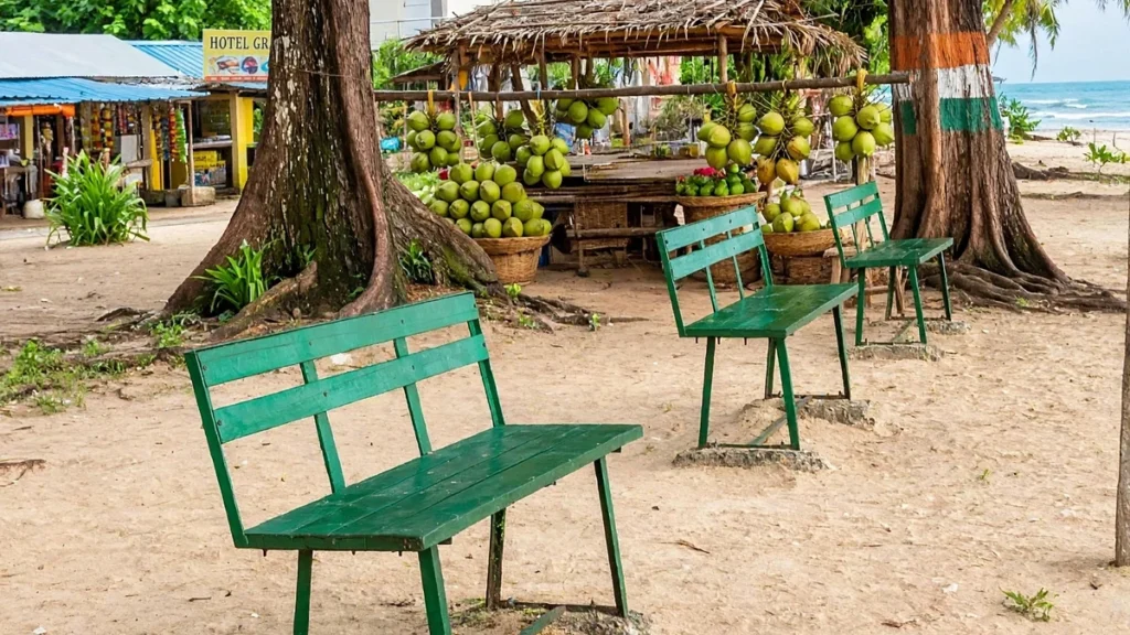 Green benches and fresh coconut stall at Wandoor Beach, Port Blair, Andaman Islands with shops in background.