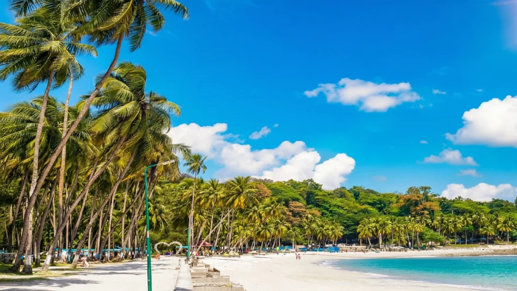 White sandy beach at Corbyn Cove Beach in Port Blair, Andaman with tall coconut palm trees, turquoise sea water and clear blue sky.