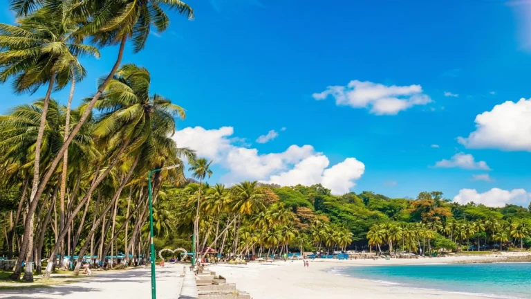 White sandy beach at Corbyn Cove Beach in Port Blair, Andaman with tall coconut palm trees, turquoise sea water and clear blue sky.