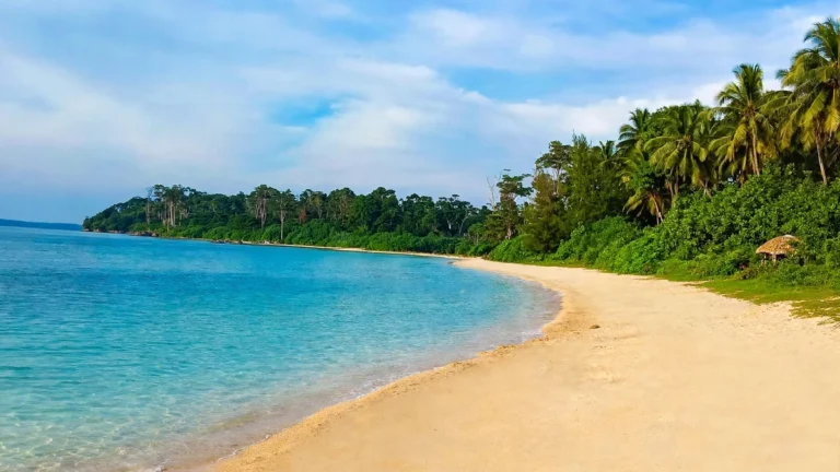 Empty pristine sandy beach at Wandoor Beach, Port Blair, Andaman Islands with turquoise blue sea water, white sand, green coconut trees and lush forest in background.